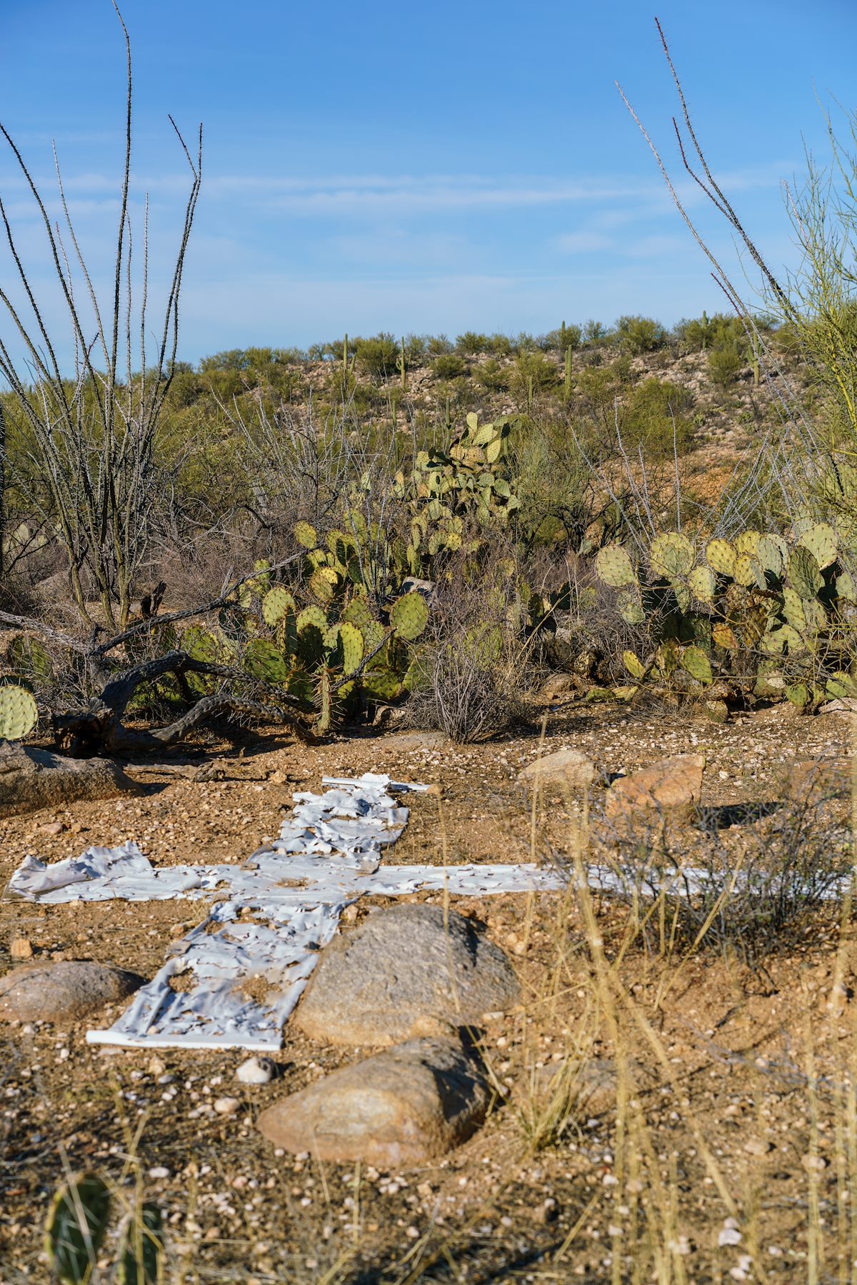 2017 December Aerial Target in Catalina State Park