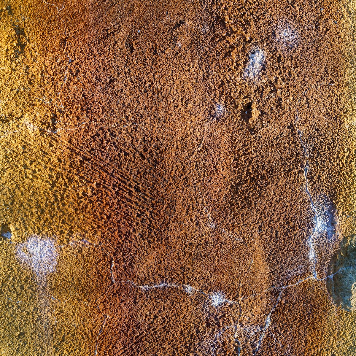 2017 December Cottonwood Tank Wall