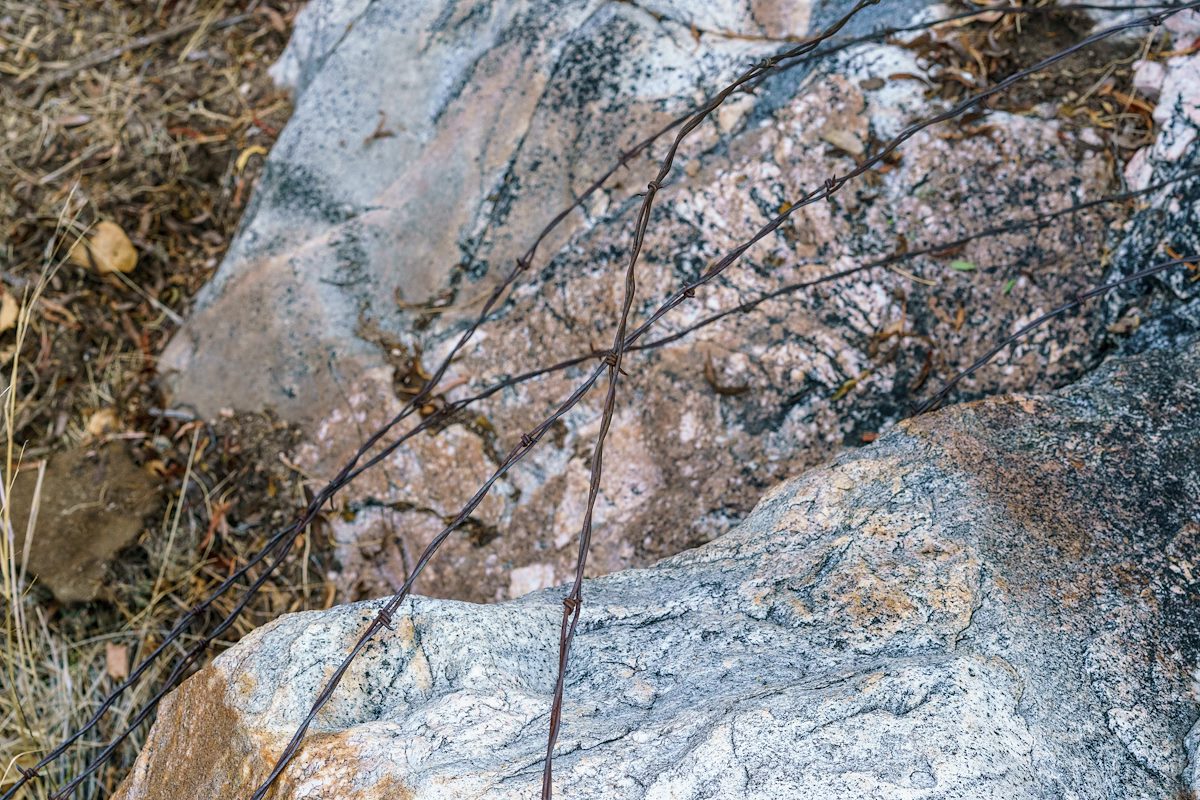 2017 December Old Barbed Wire Across Dead Horse Canyon
