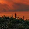 2017 December Saguaro Sunset