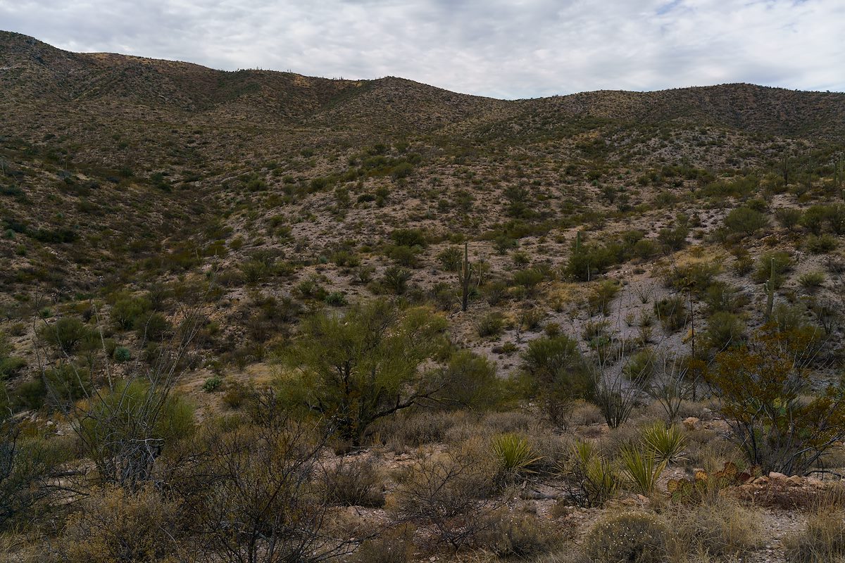 2017 December Sunzia Path North 03