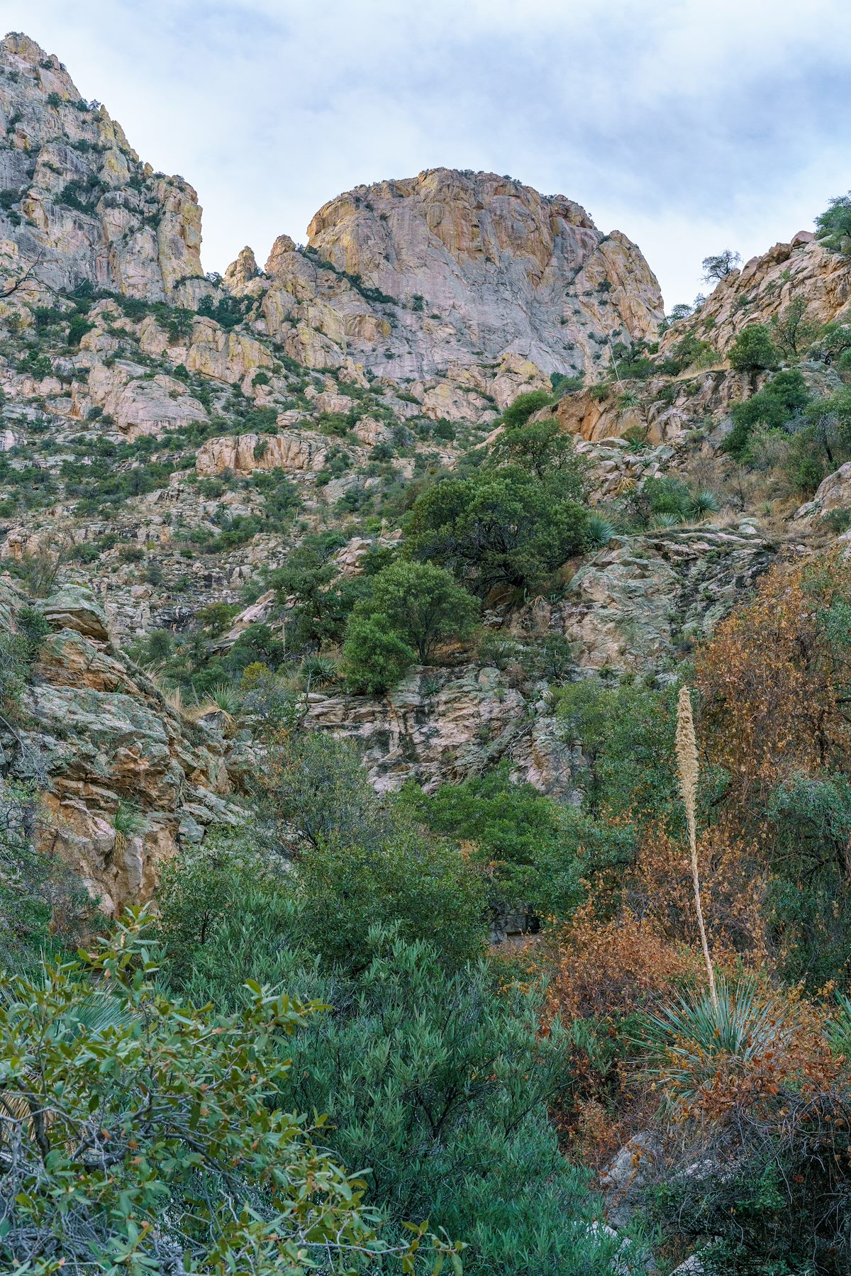 2017 December Table Mountain from Dead Horse Canyon