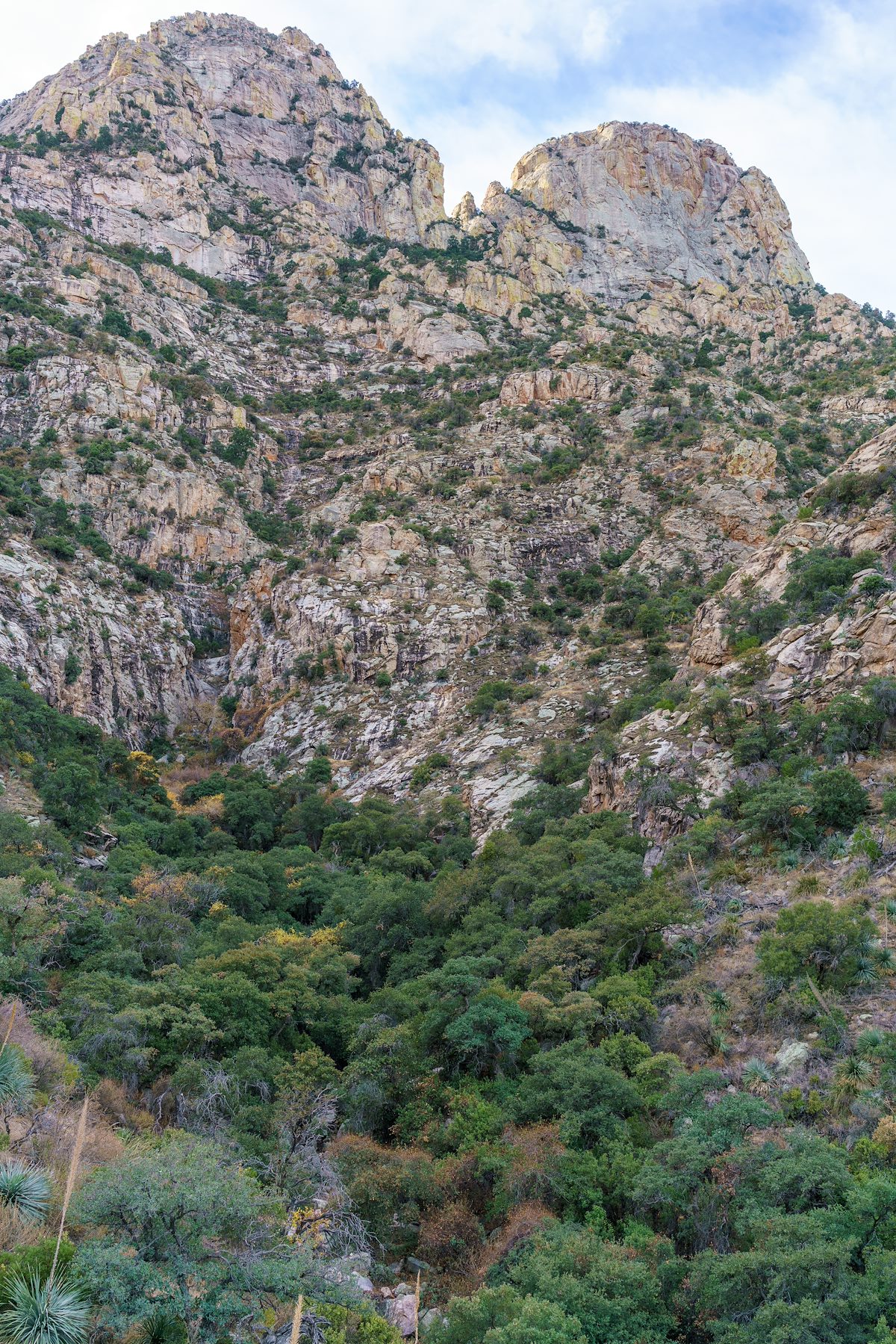 2017 December Table Tooth and Table Mountain