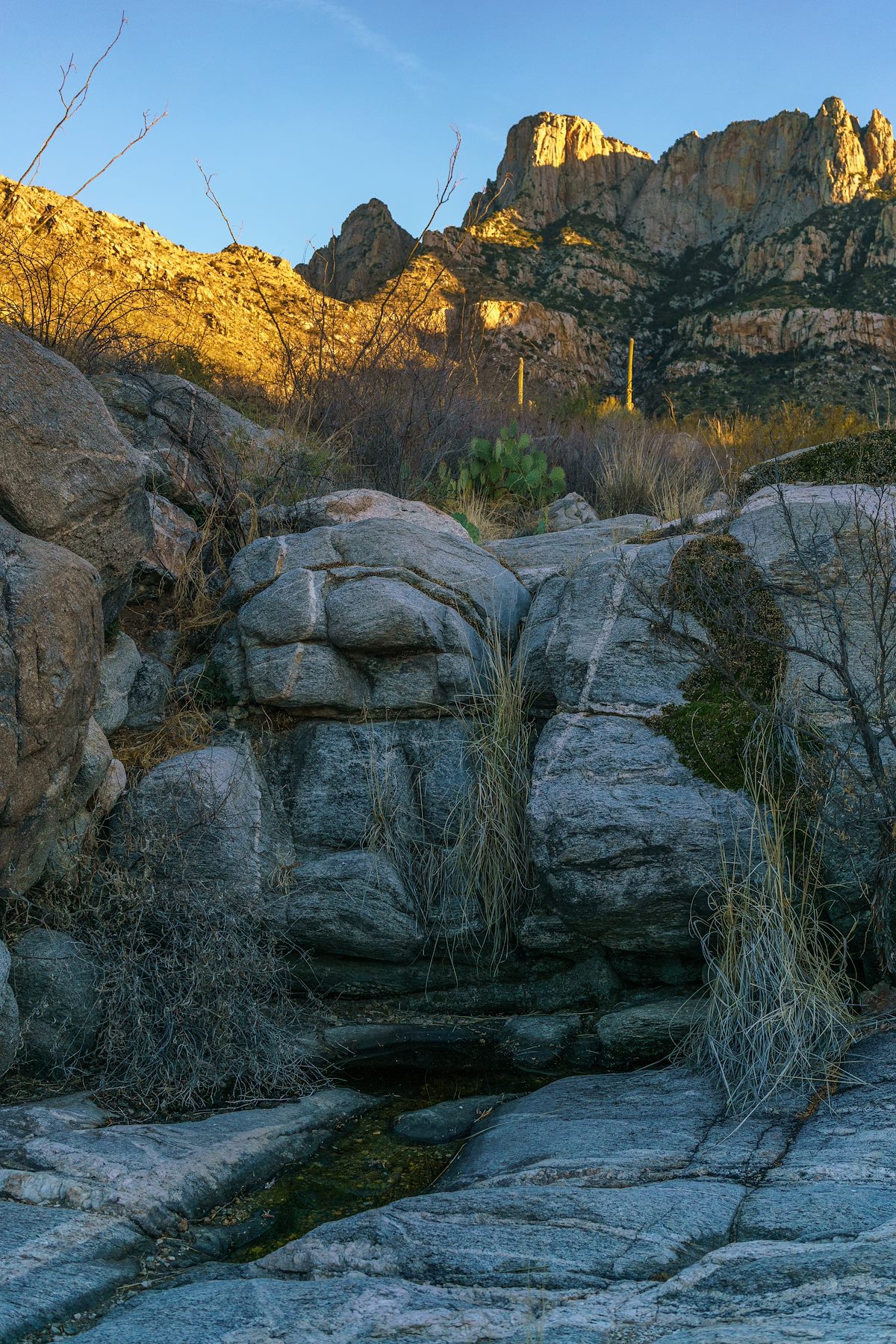 2017 December Water in The Cottonwood Tank Area
