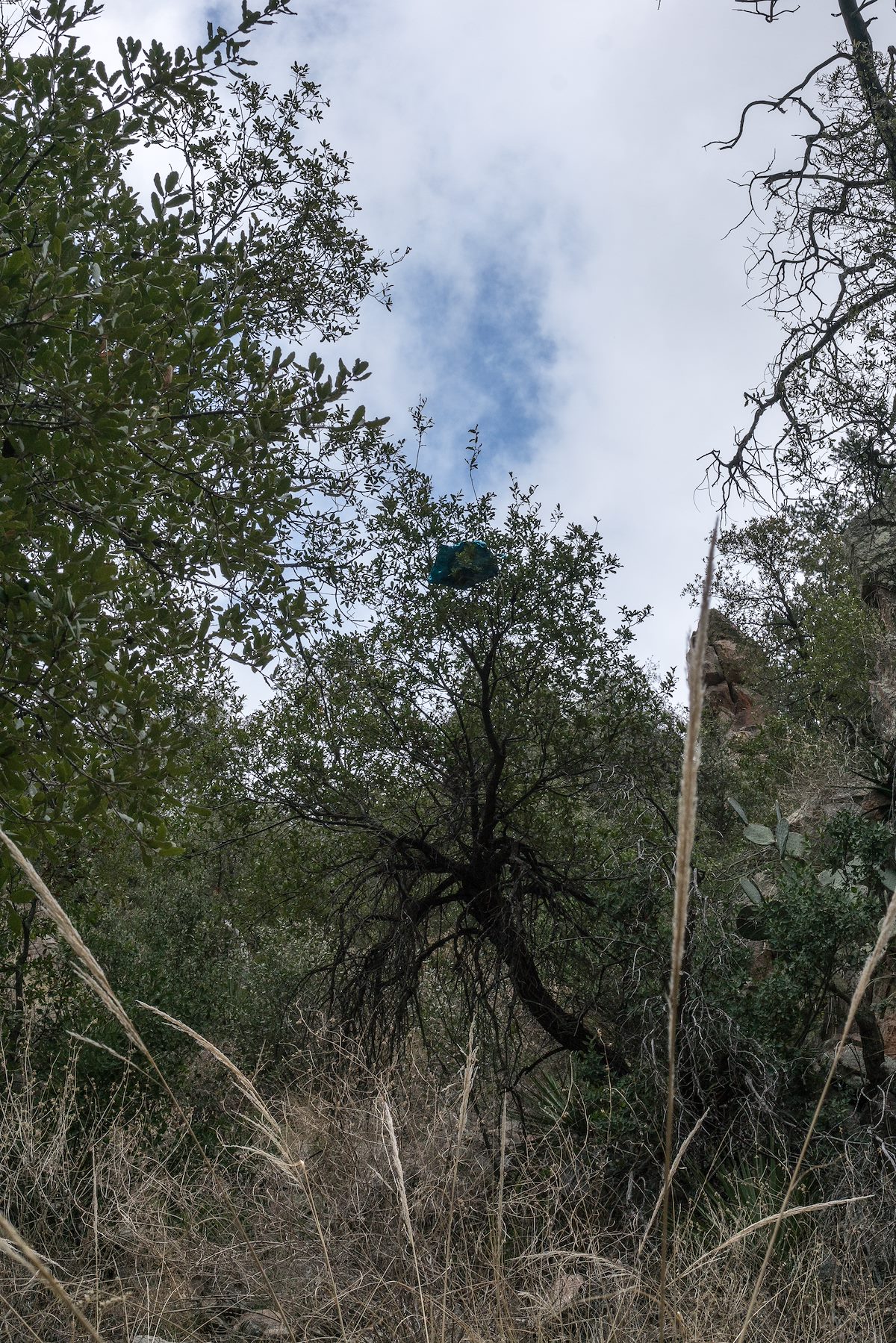 2017 February Balloon Trash in Esperero Canyon