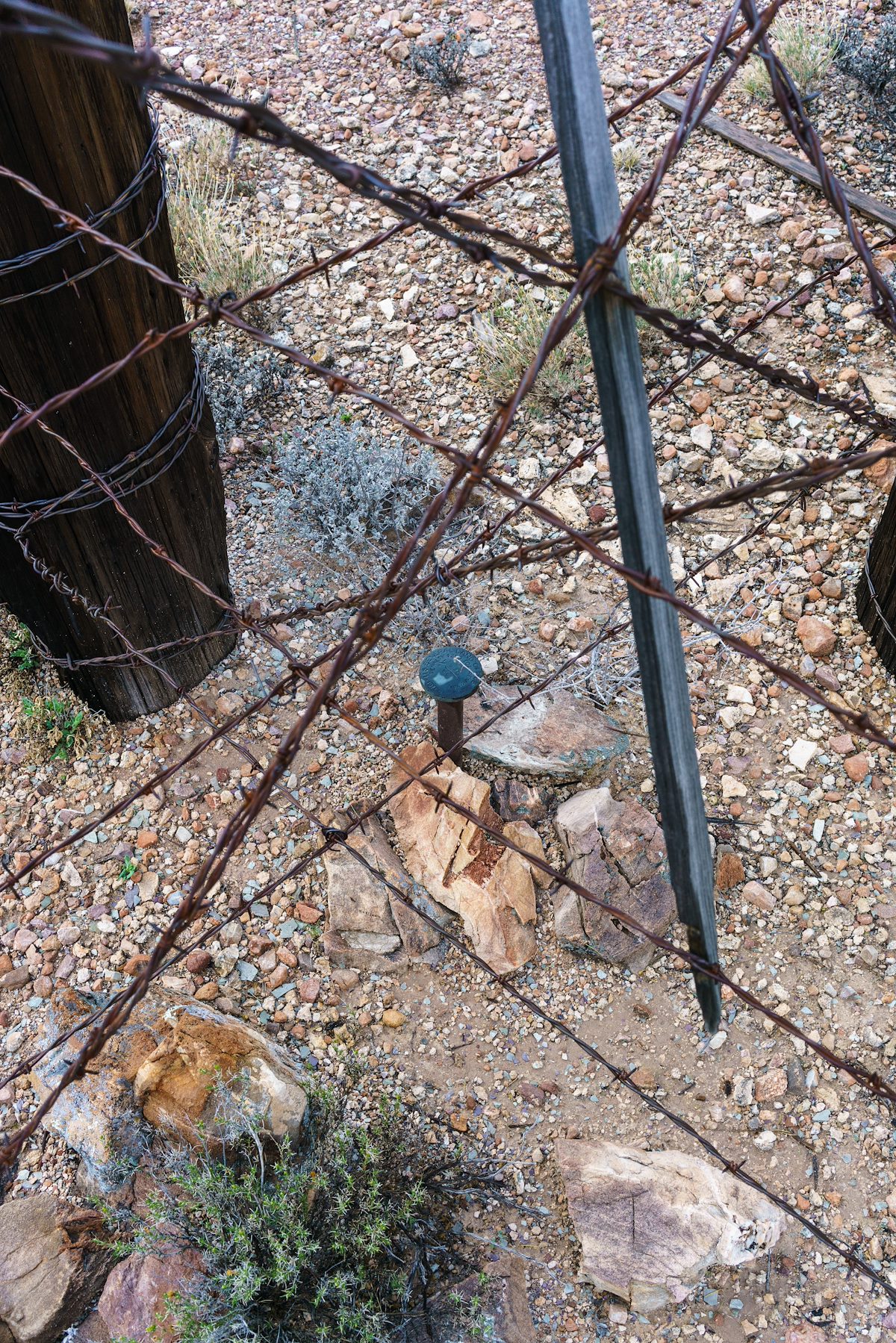 2017 February Cornered