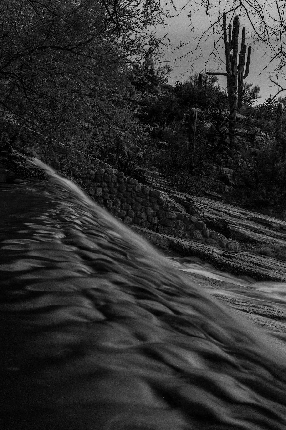 2017 February Lower Sabino Dam