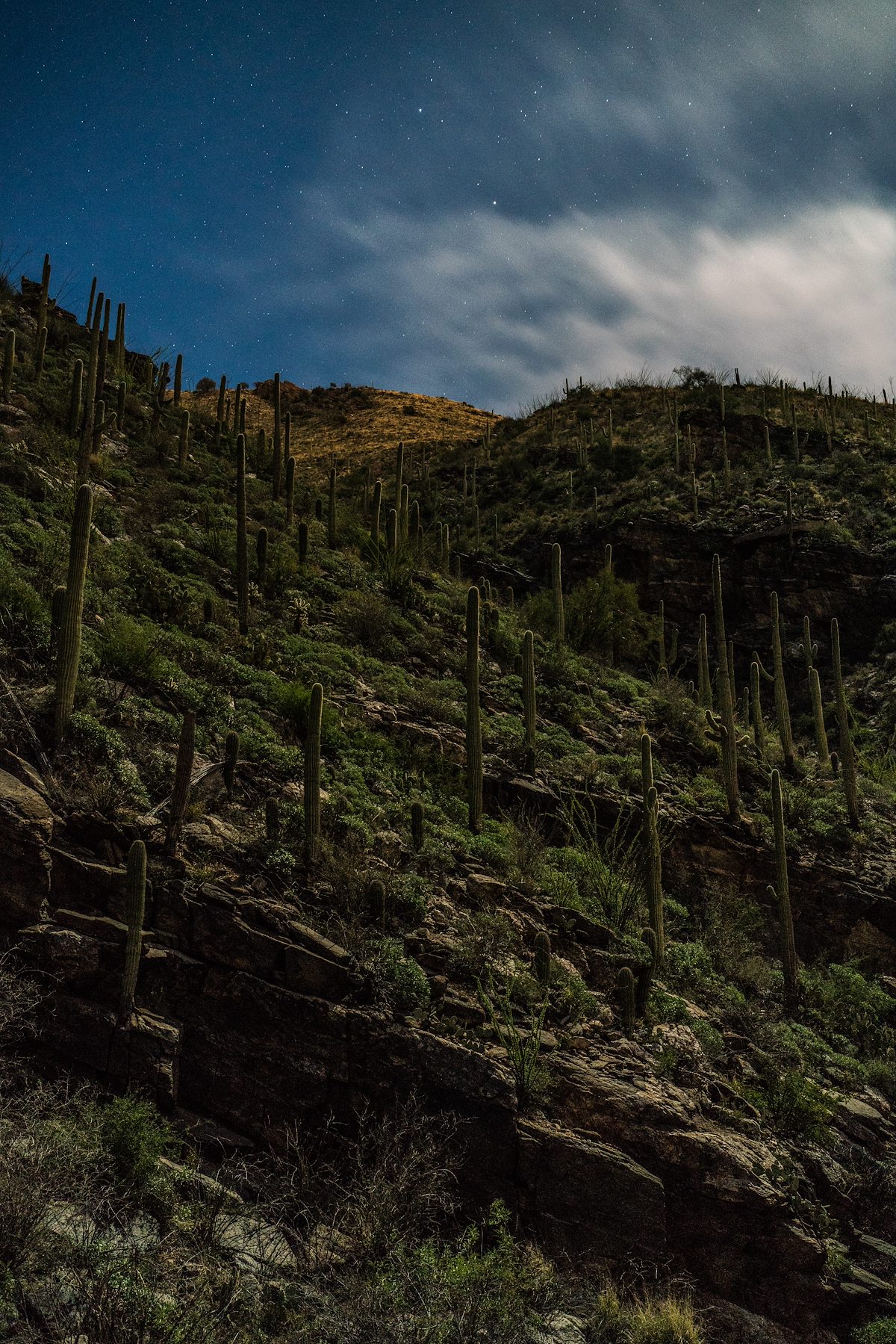 2017 February Moonlight in Ventana Canyon