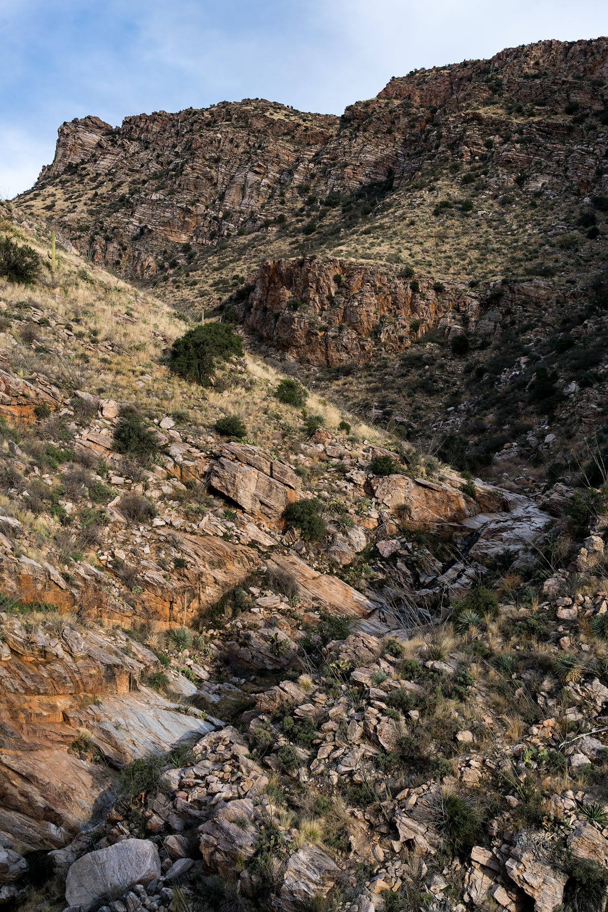 2017 February Pontatoc Canyon Trail