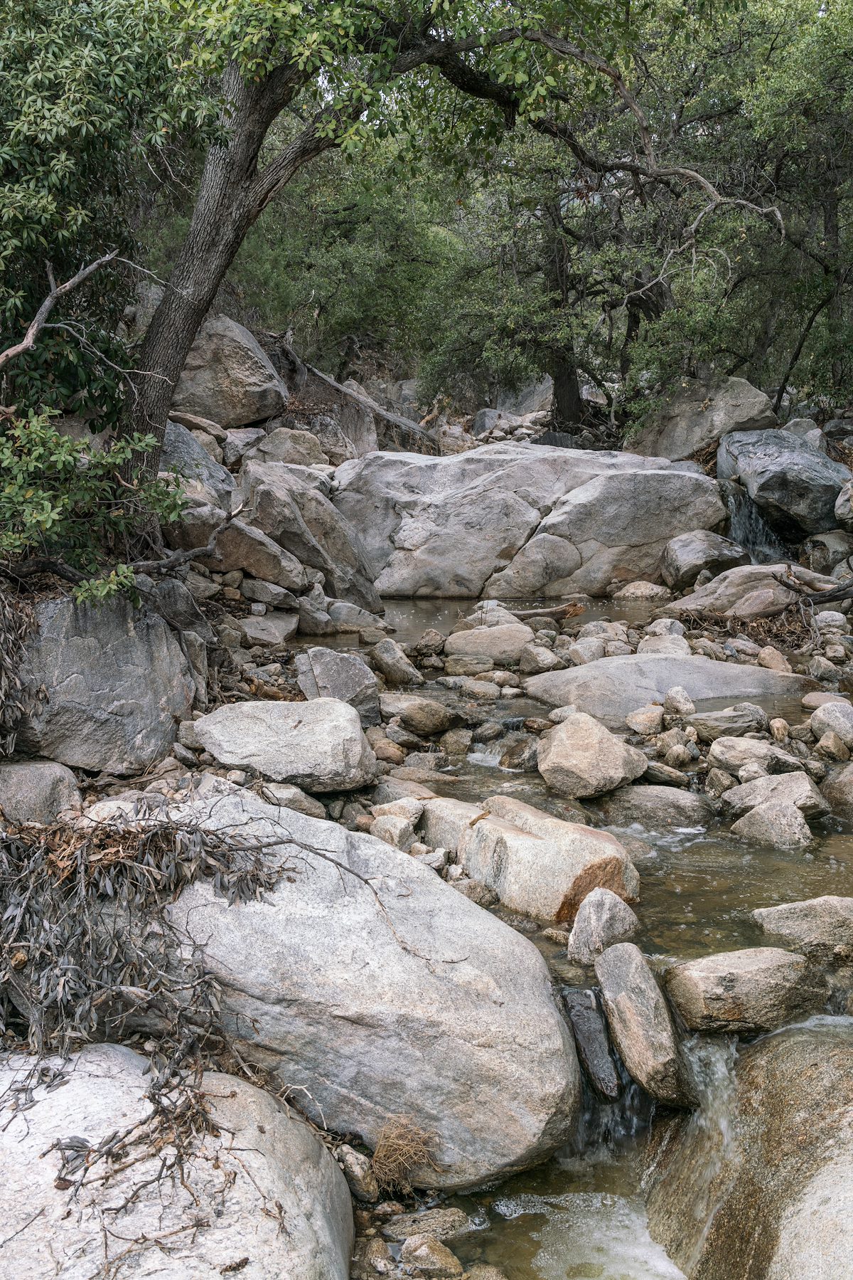 2017 February Running Water in Esperero Canyon