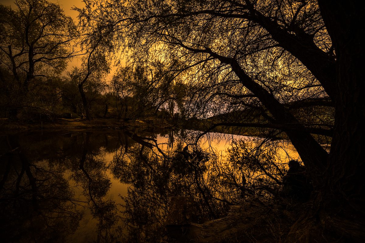2017 February Sabino Canyon Lake