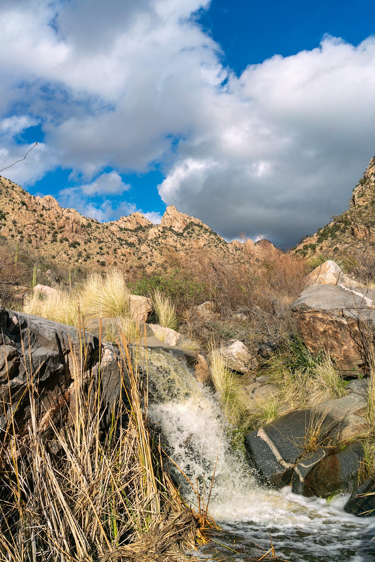 2017 January Falling water in the First Dam Area of Pima Canyon
