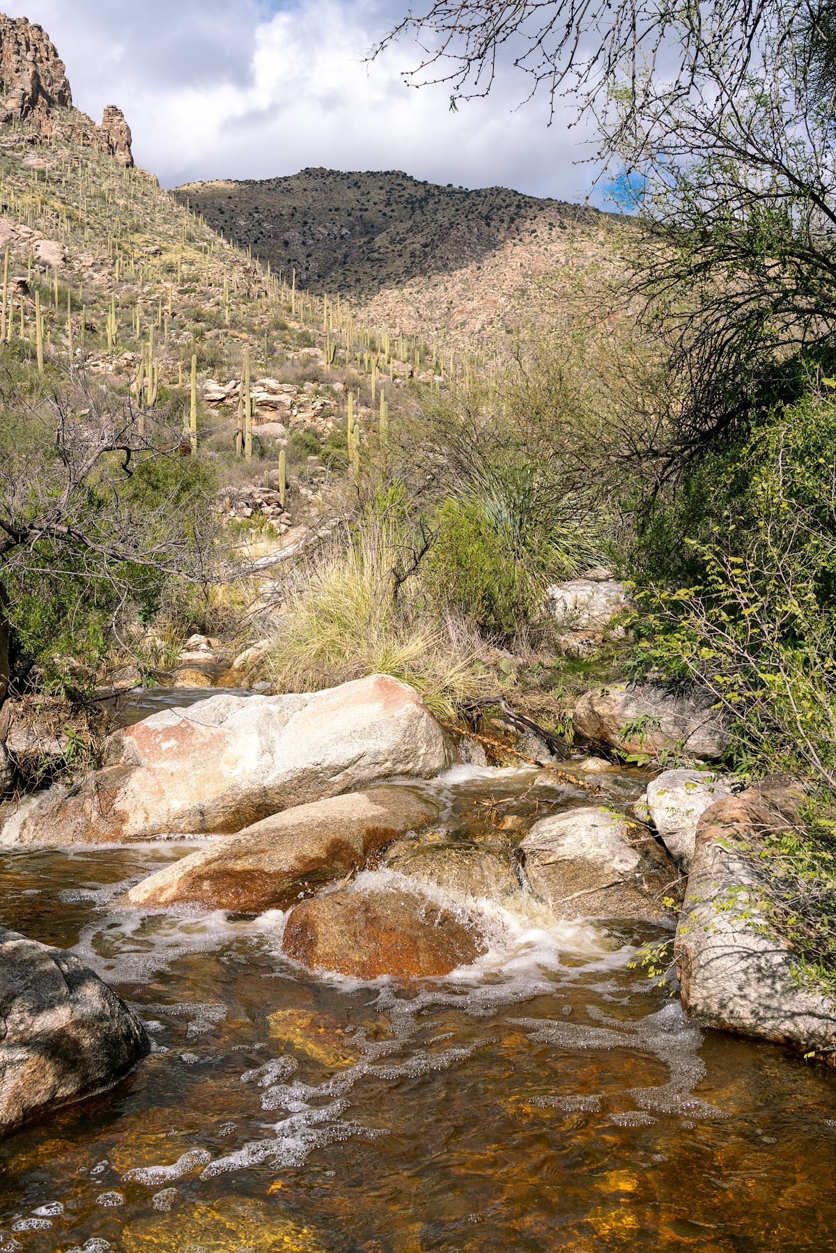 2017 January Flowing Water in Pima Canyon