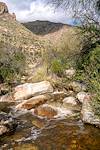 2017 January Flowing Water in Pima Canyon