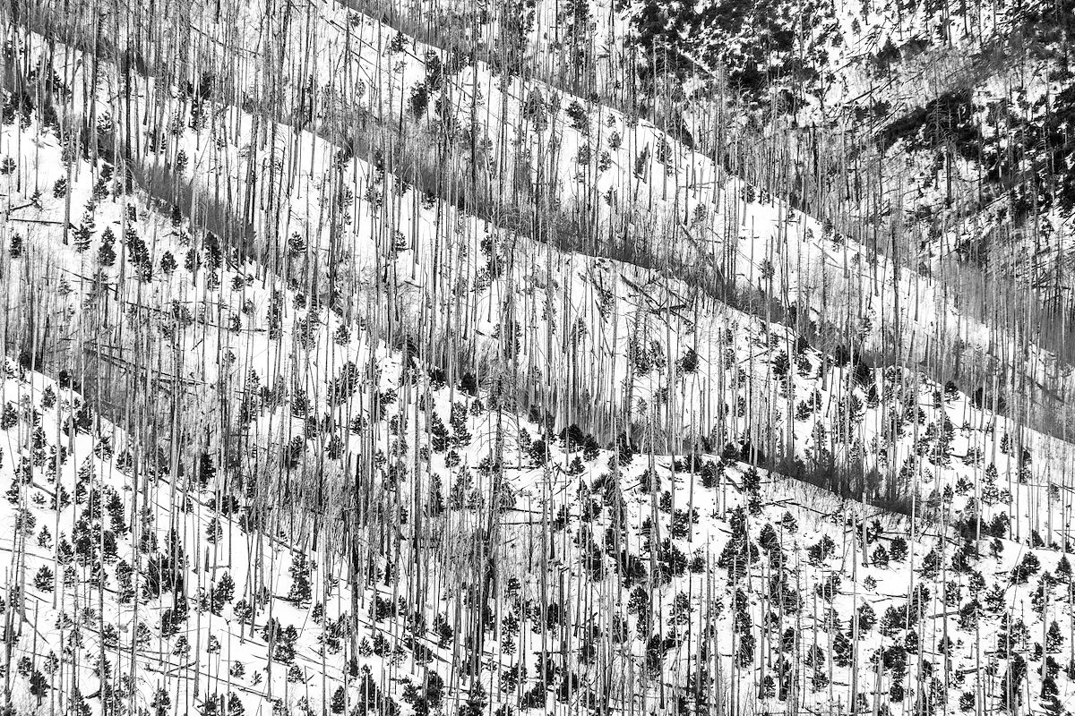 2017 January New and Old from Inspiration Rock