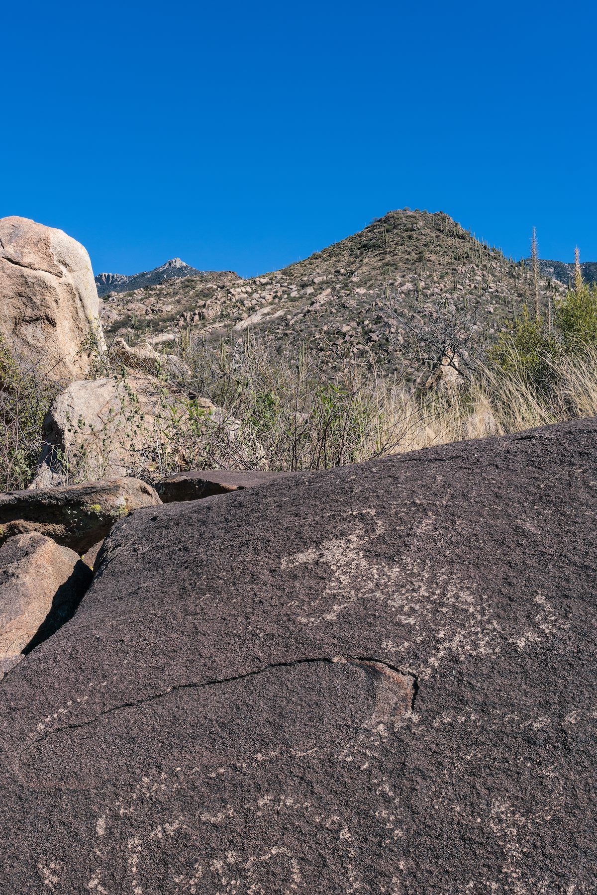 2017 January Petroglyphs with Romo Hill and Samaniego Peak in the Distance
