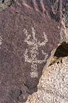 2017 January Sutherland Wash Rock Art District Petroglyph