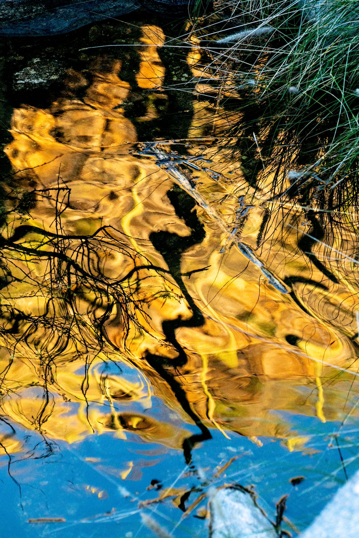 2017 January Swirling Saguaro