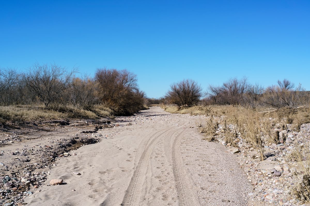 2017 January Tracks in the Dry Sandy bottom of the San Pedro River