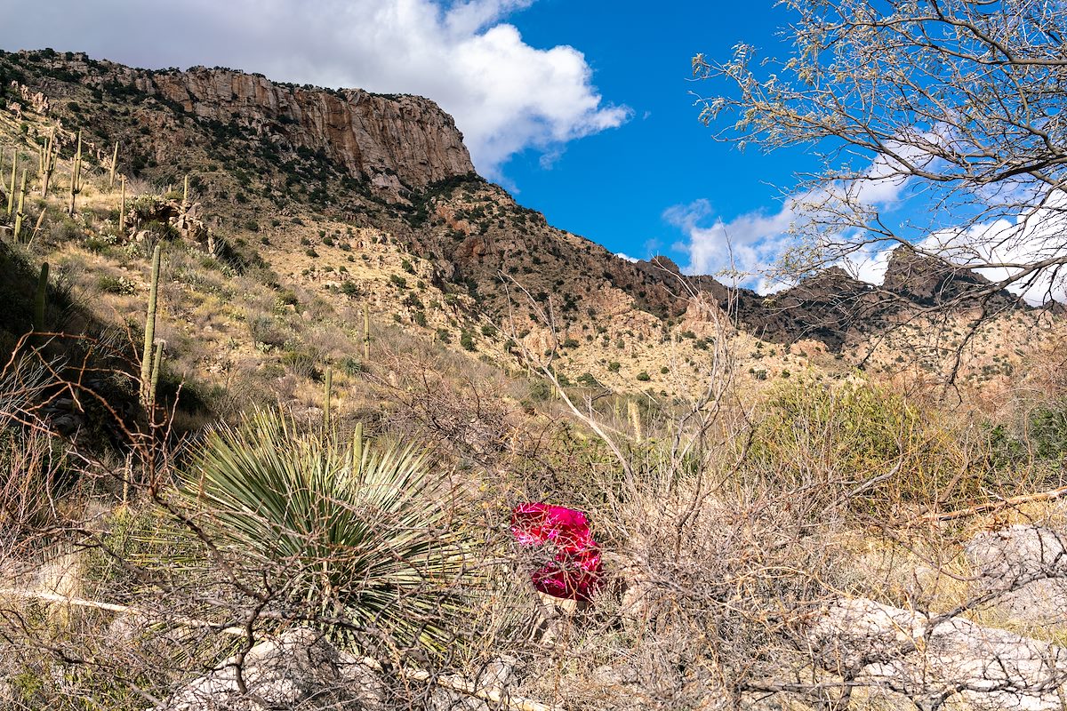 2017 January Trash in Pima Canyon