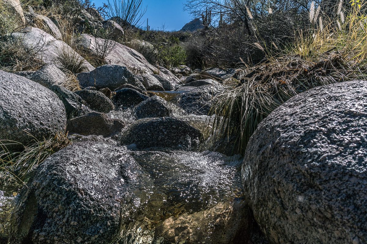 2017 January Water in Sutherland Wash