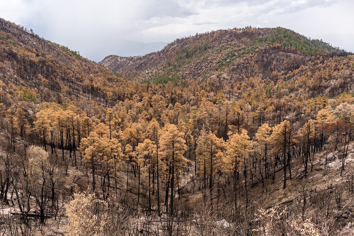 2017 July A Strange Fall