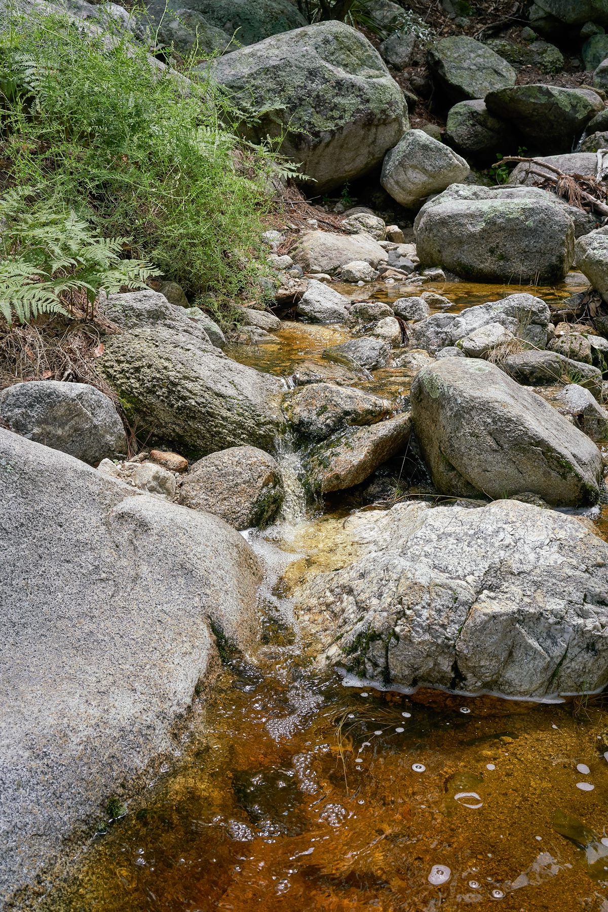 2017 July Crossing a stream on the Brush Corral Trail