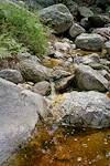 2017 July Crossing a stream on the Brush Corral Trail