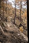 2017 July Entering the Burro Fire Area on the Guthrie Mountain Trail