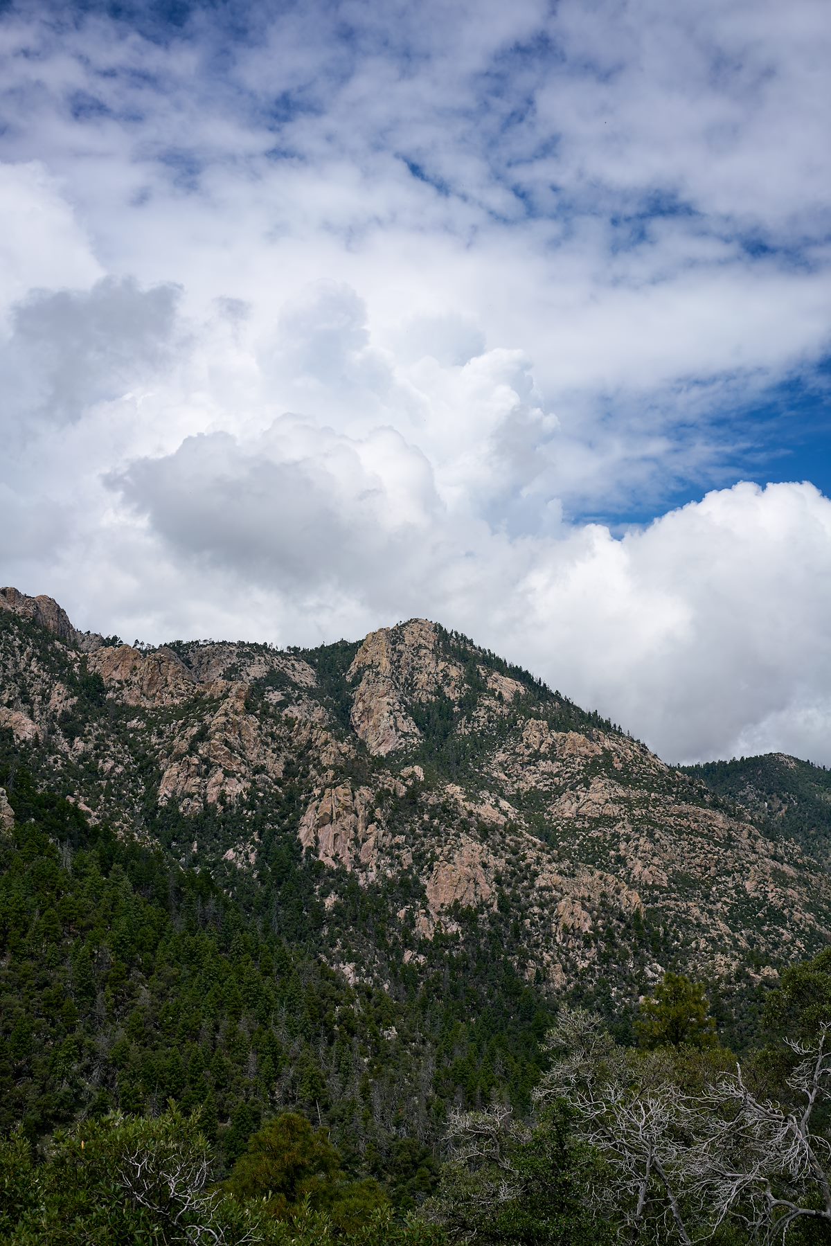 2017 July Leoplod Point from the Brush Corral Trail
