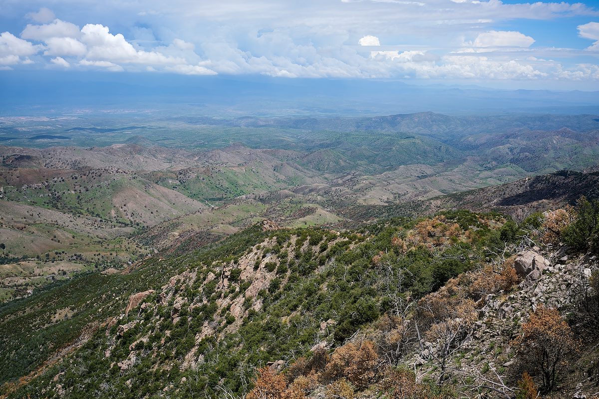 2017 July Looking down into Buehman Canyon from the Upper Brush Corral Trail