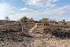 2017 July Redington Road after the Burro Fire 02