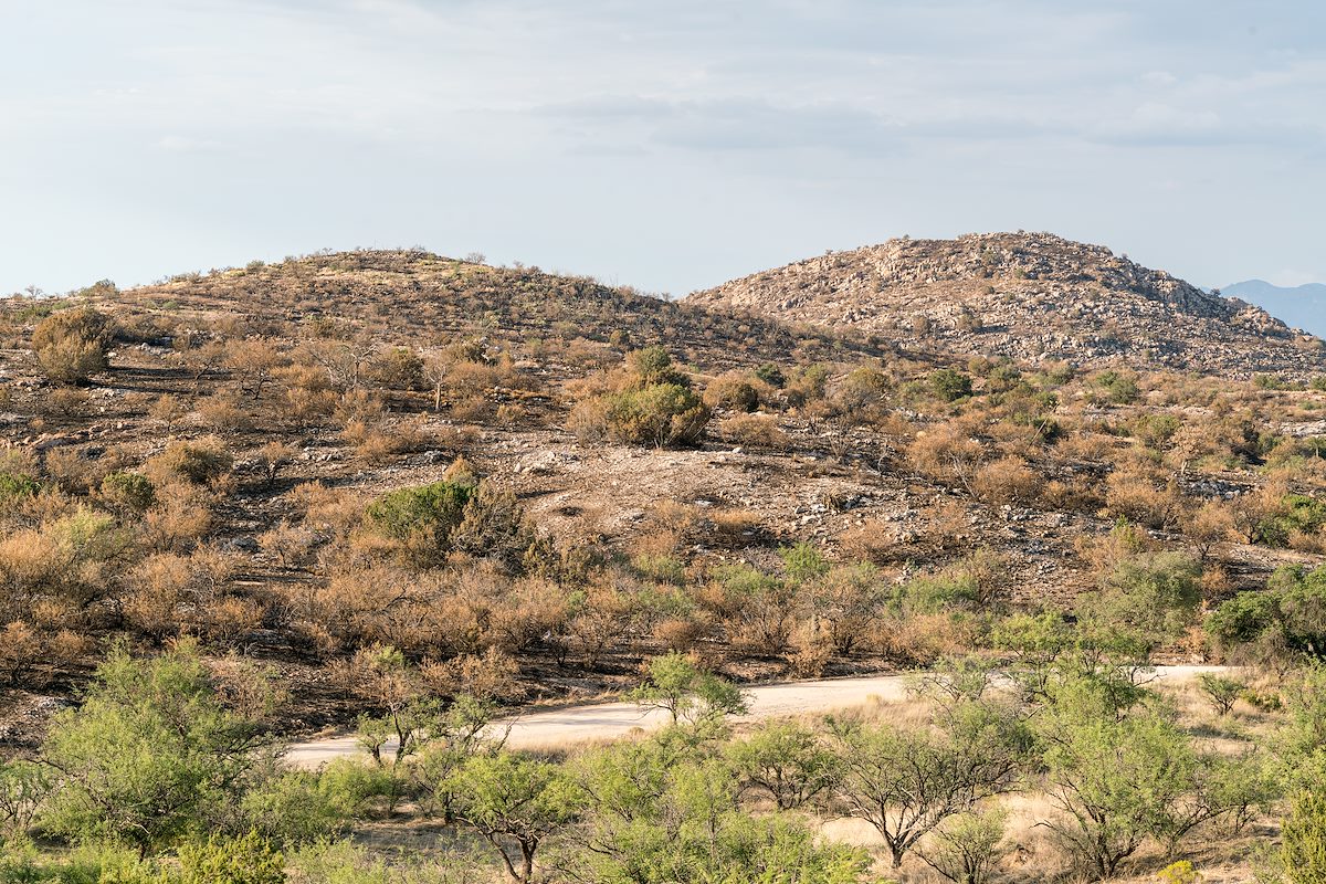 2017 July Redington Road after the Burro Fire 03