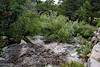 2017 July Rushing Water in Bear Canyon 02