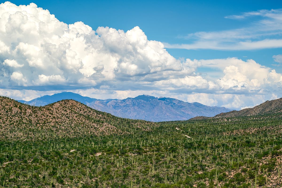 2017 July Santa Catalina Mountains from Saguaro National Park West