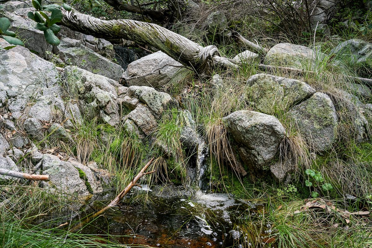 2017 July Stream on the Brush Corral Trail