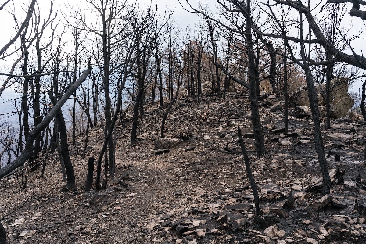 2017 July Summit of Guthrie Mountain after the Burro Fire