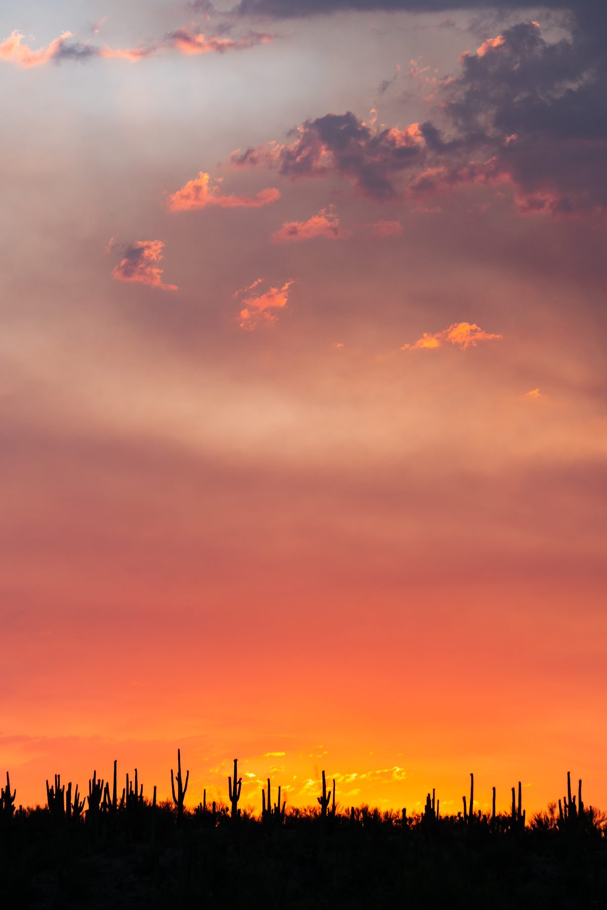 2017 July Sunset from Redington Road