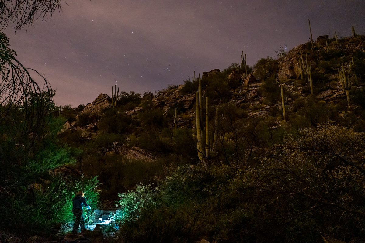 2017 March Alison Photographing in Sabino Canyon