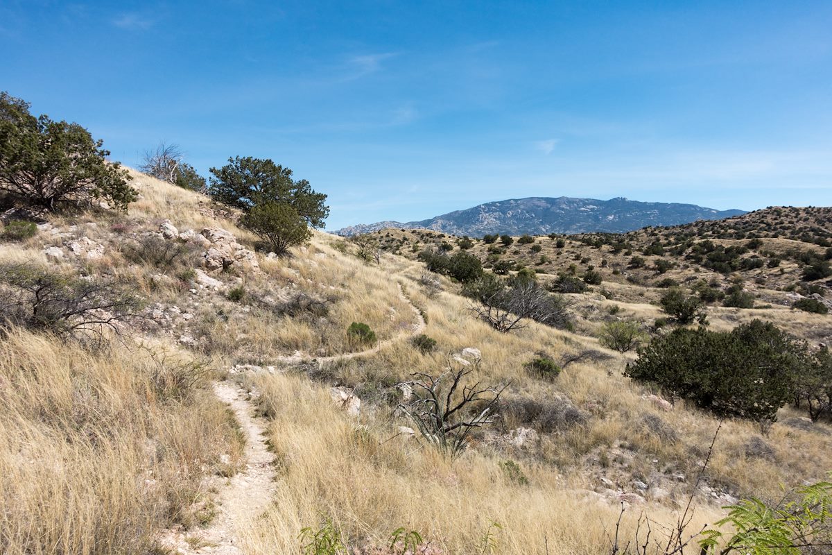 2017 March Bellota Trail west of Point 4622