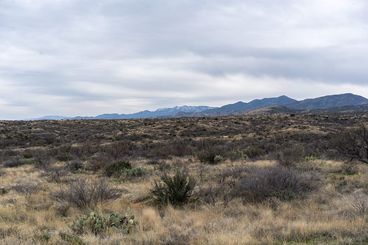 2017 March Overcast Day in Oracle State Park