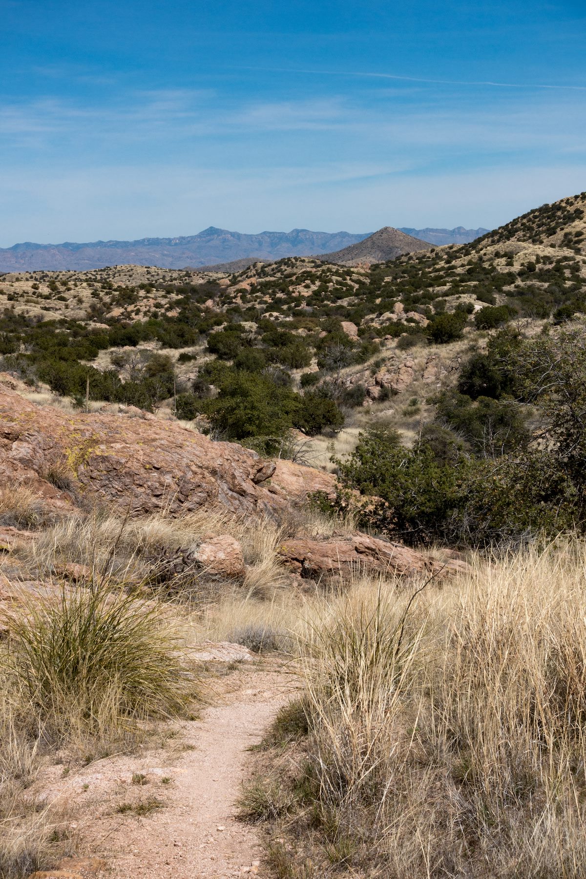 2017 March Piety Hill and Bassett Peak from the Bellota Trail