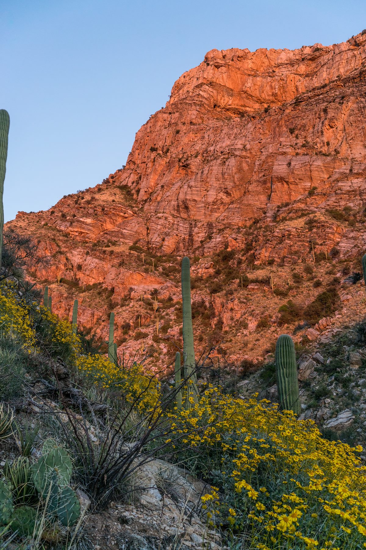2017 March Pontatoc Ridge in the sunset above the Pontatoc Canyon Trail