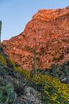2017 March Pontatoc Ridge in the sunset above the Pontatoc Canyon Trail