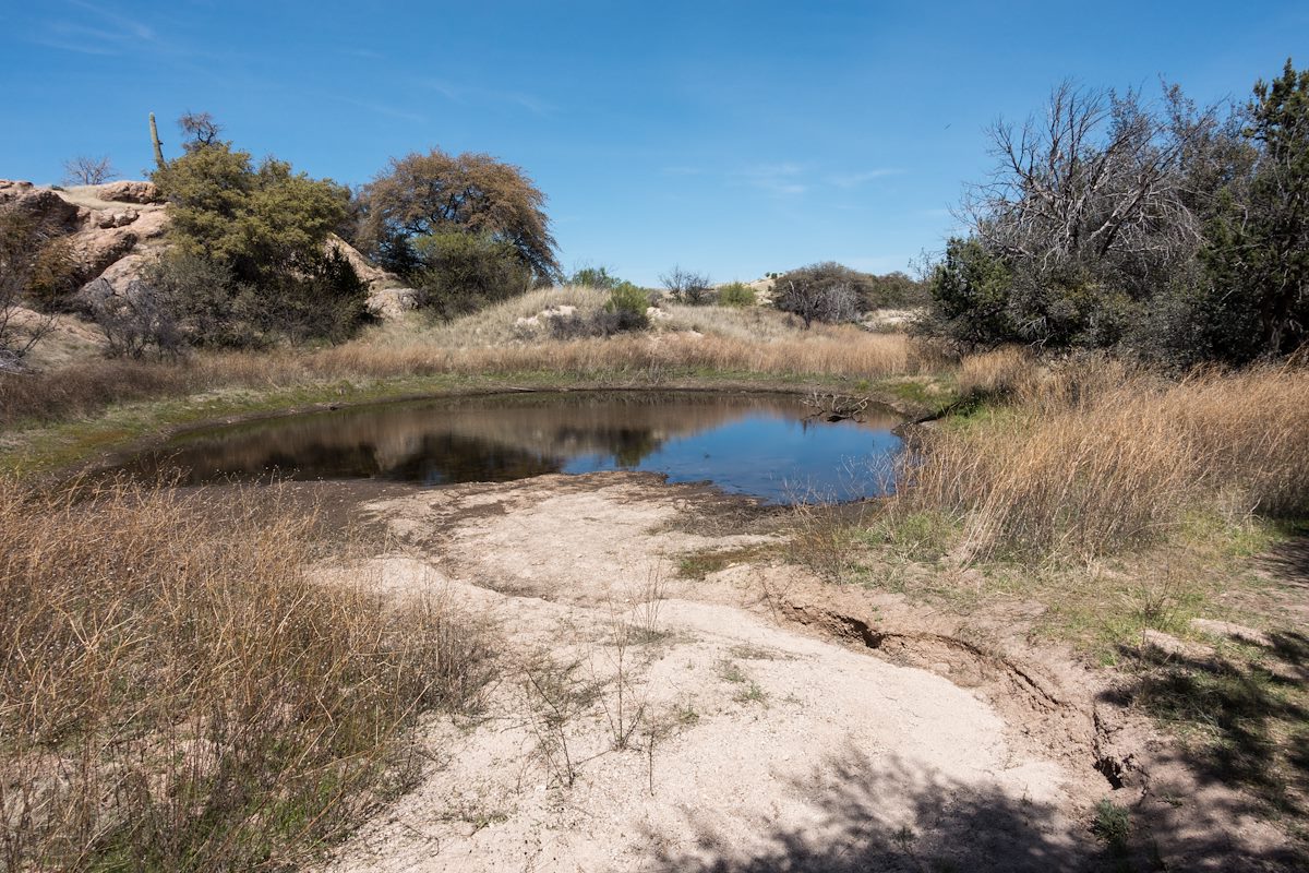2017 March Water near the AZT The Lake Signs