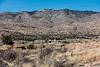 2017 March White Bellota Ranch Buildings just visible from the Bellota Trail