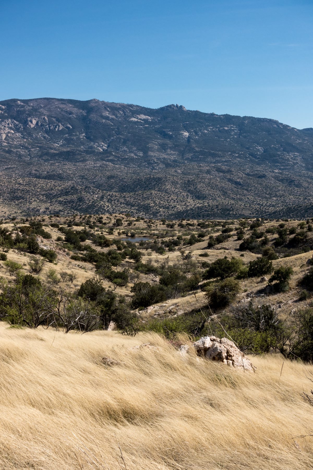 2017 March White Tank and Mica Mountain from Point 4622 off the Bellota Trail