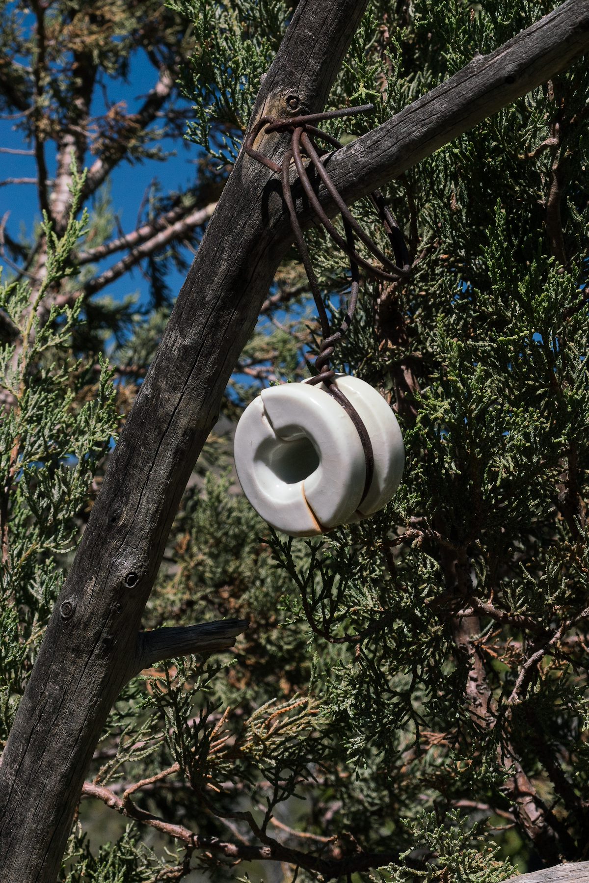 2017 May An Insulator along the Red Ridge Trail