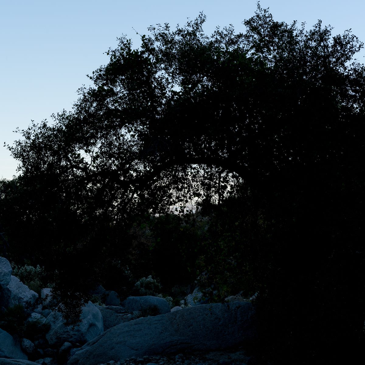 2017 November Cargodera Canyon