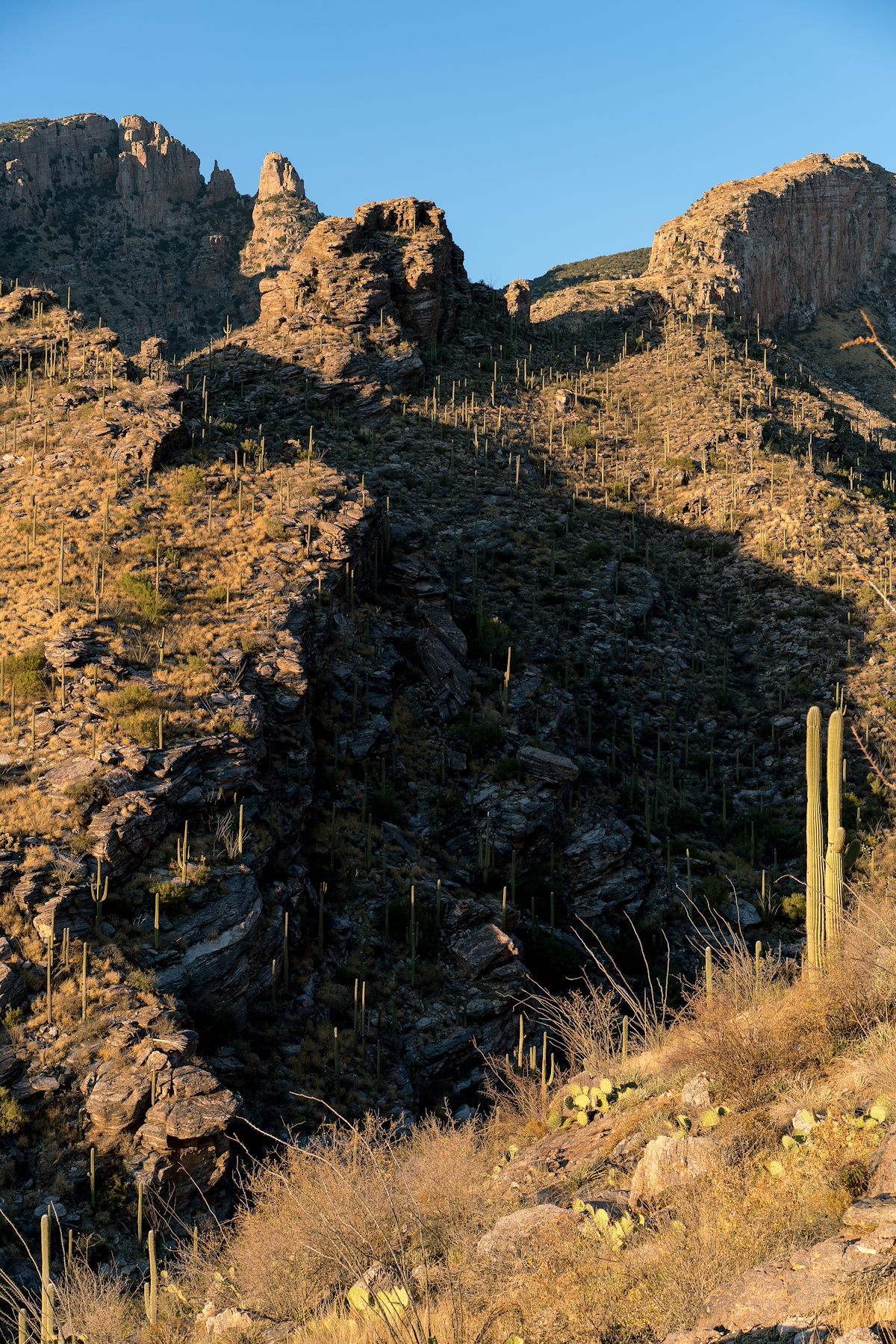 2017 November Finger Rock from the Pontatoc Canyon Trail